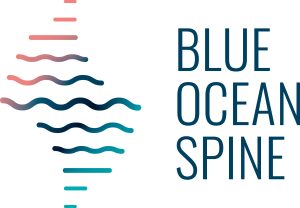 Blue Ocean Spine GmbH
