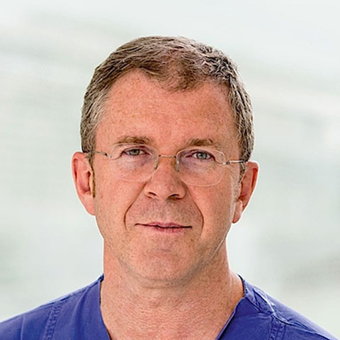 Prof. Dr. Dr. h.c. Hans Henkes